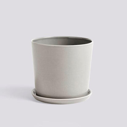 Botanical Family Set (Request Info).