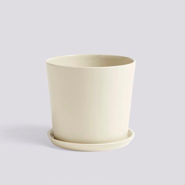 Botanical Family Set (Request Info).