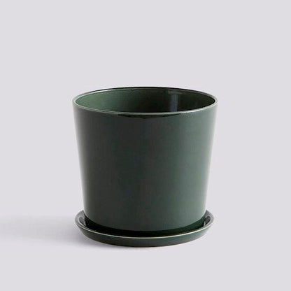 Botanical Family Set (Request Info).
