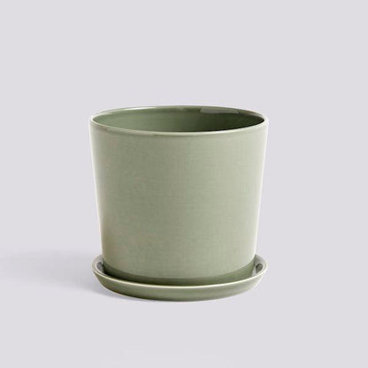 Botanical Family Set (Request Info).
