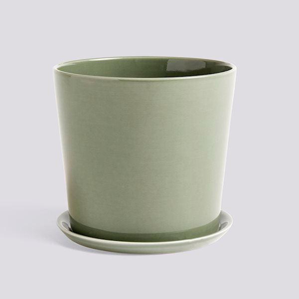 Botanical Family Set (Request Info).