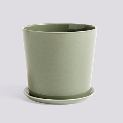 Botanical Family Set (Request Info).