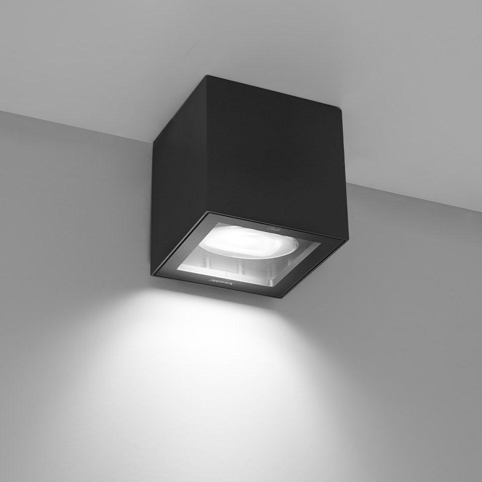 Basolo Lamp.