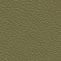 Bayeux Green (VP521)