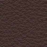 Beccaccia di Mare (RA1815)