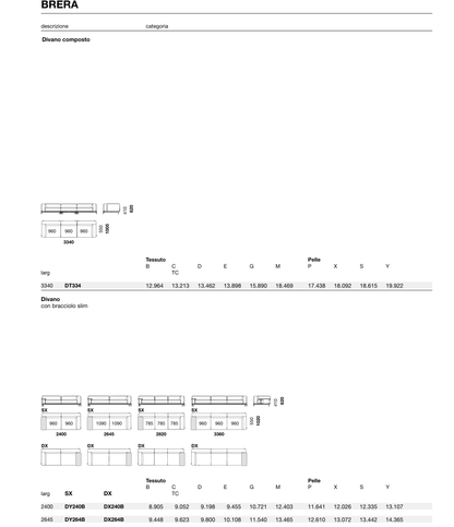 BRERA Module Diagram - DY282B