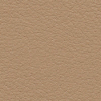 Broad-Winged Hawk (FE4014)