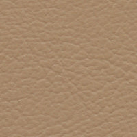 Brown Pelican (FE4051)