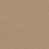 California Condor (FE4017)