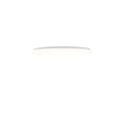Clara Ceiling/Wall Lamp.