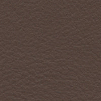 Crested Goshawk (FE4042)