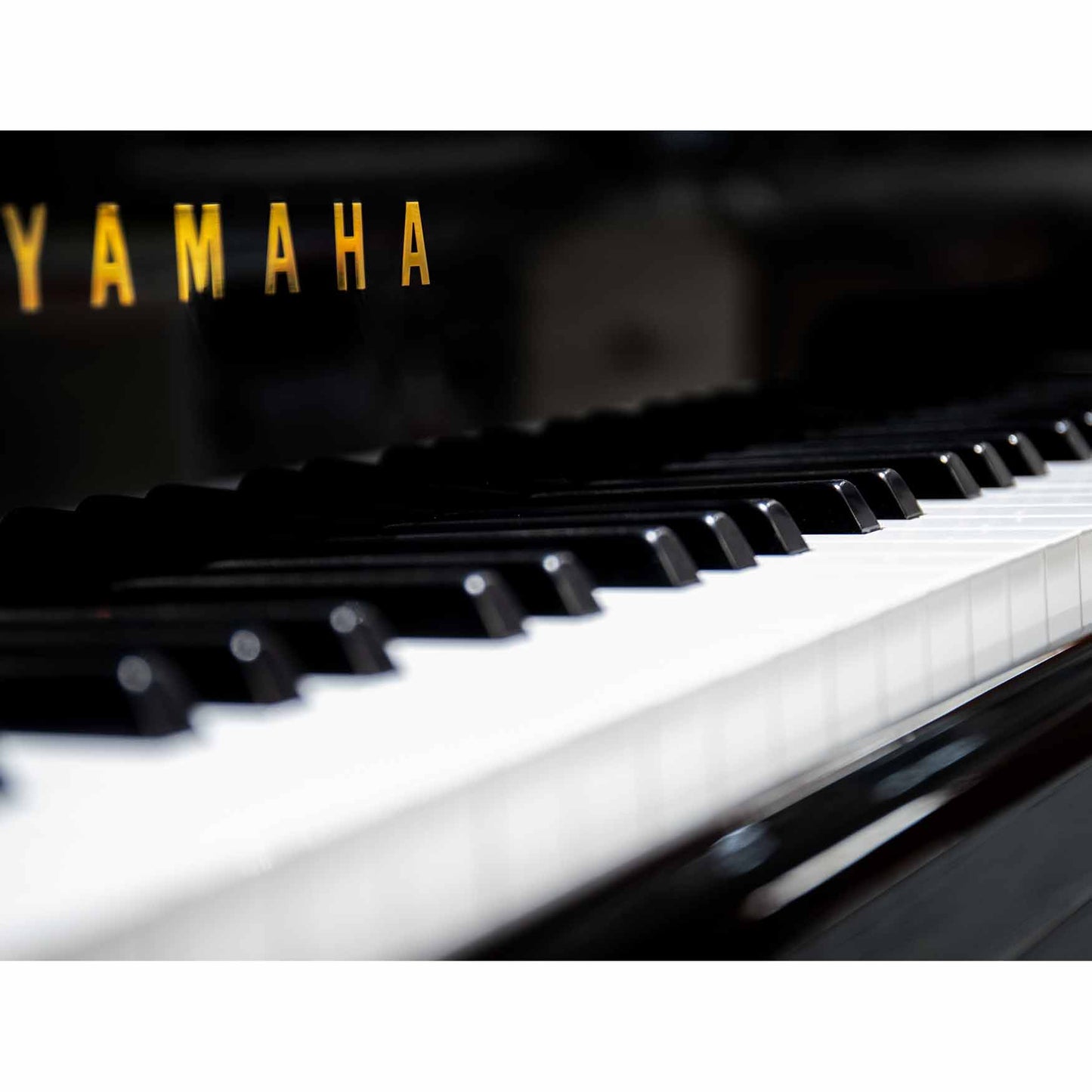 FILIGREE GRAND PIANO - Piano.