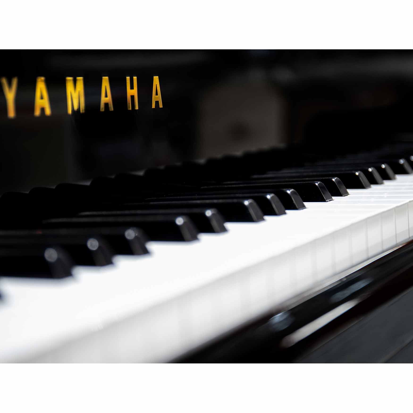 FILIGREE GRAND PIANO - Piano.