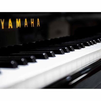 FILIGREE GRAND PIANO - Piano.