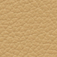 Florida Panther (VP517)