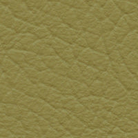 Flying Dutchman (AU655)