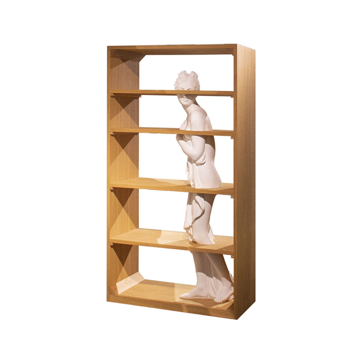 VENUS Bookcase.