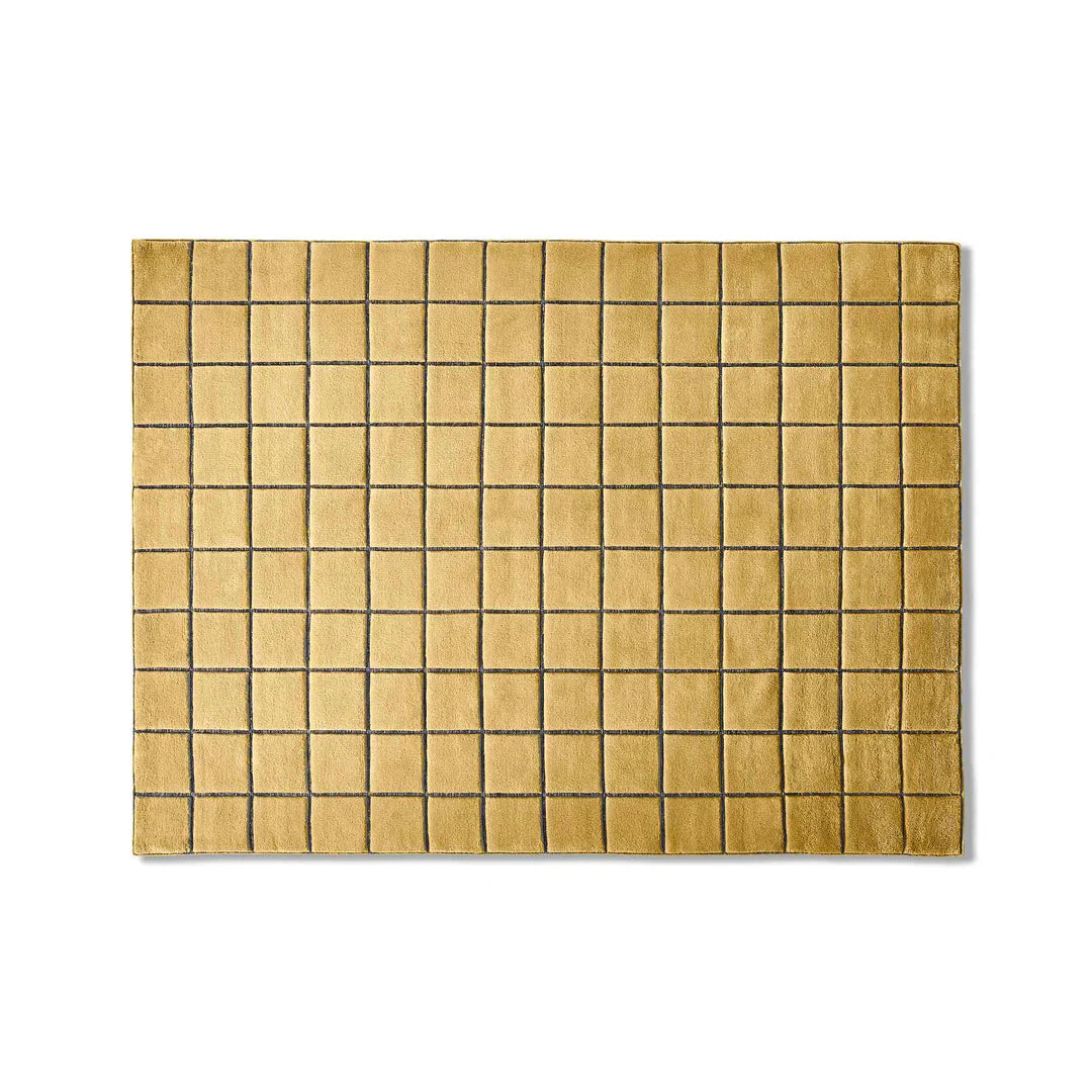 Sahara Grid