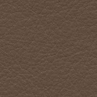 Great Horned Owl (FE4050)