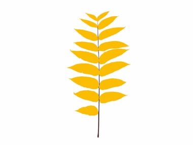 LEAVES JUGLANS NIGRA - Silkscreen (Request Info).
