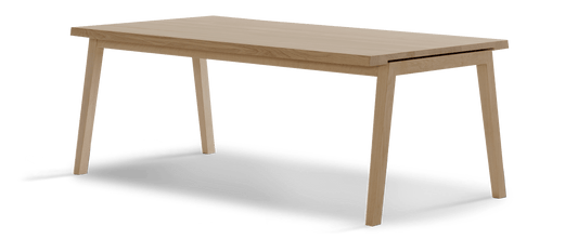 SH900 | Extend Table | 300x100