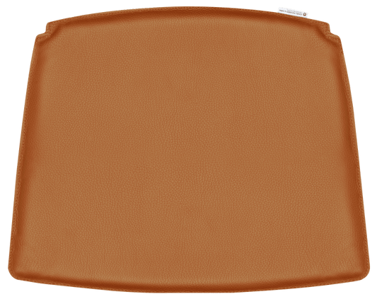 CU CH22 | Cushion (Request Info)