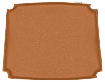 CU CH36 | Cushion