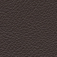 Humpback Whale (VP528)