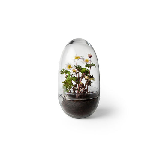 Design House Stockholm Grow Vase Medium Clear
