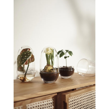 Design House Stockholm Grow Vase Medium Clear