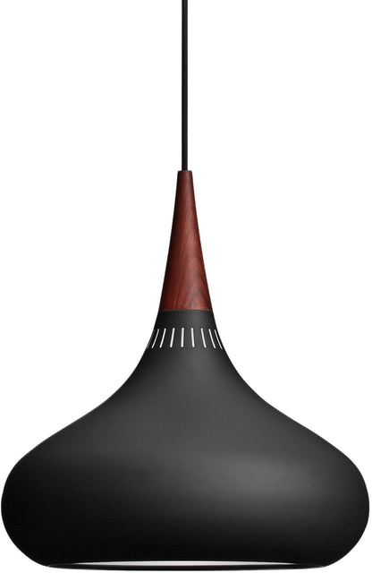 Avion pendant