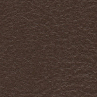 Indian Mynah (FE4041)