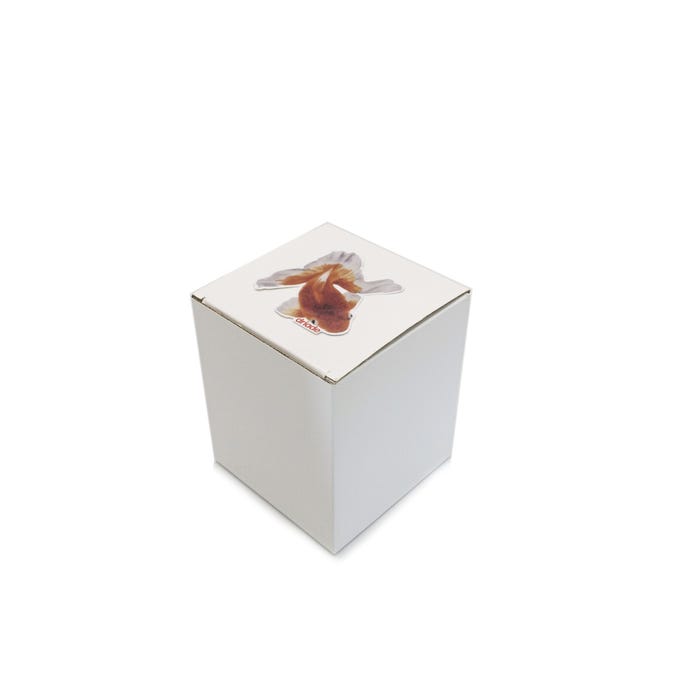 THE WHITE SNOW KINGYO - COFFEE SET (Request Info).