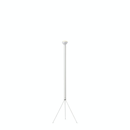 Luminator Floor Lamp.
