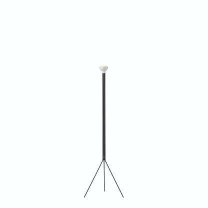 Luminator Floor Lamp.