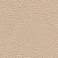 Montgolfier (VP4008)