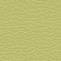 Persian Lime (VP520)