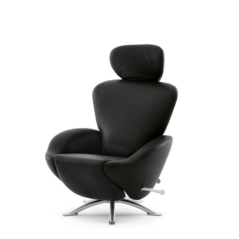 Dodo chair.