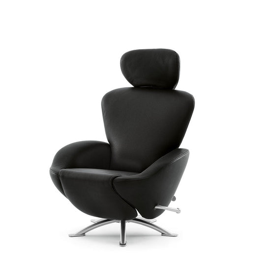 Dodo chair.