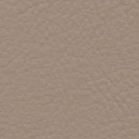 Prairie Falcon (FE4001)