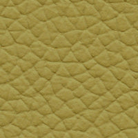 River of Grass (AU656)