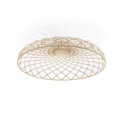 Skynest C Ceiling Lamp.