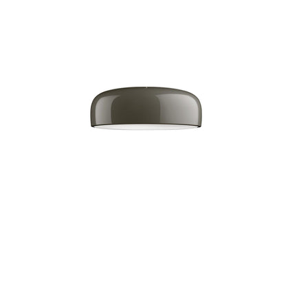 Smithfield Ceiling Pro Lamp.
