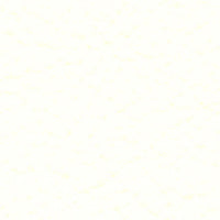 Snowshoe Hare (AL5023)