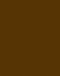 Cioccolato