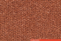 ELETTRA 207