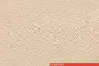 PELLE 850