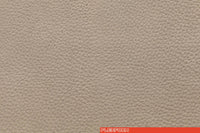 PELLE 851