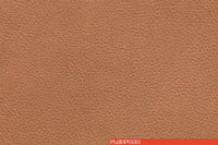 PELLE 853