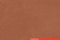 PELLE 854